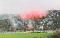 37-OM-STRASBOURG